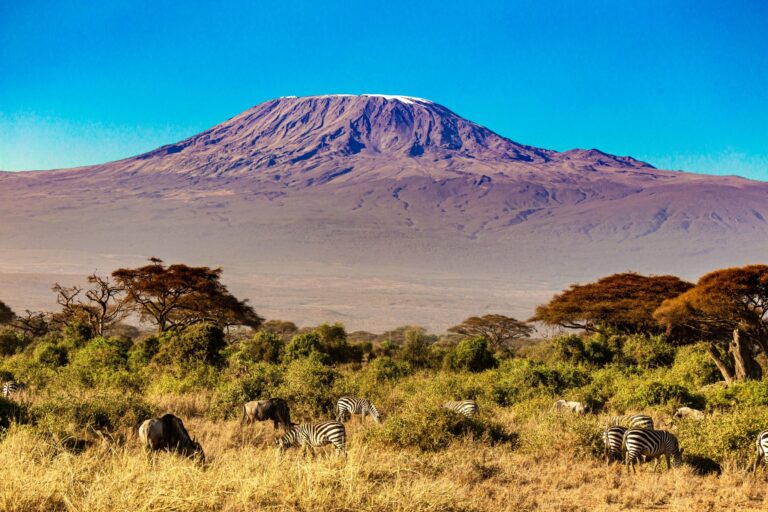 Amboseli Wildlife Safari & Mount Kilimanjaro Views