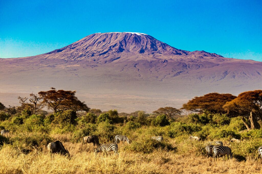 Amboseli
